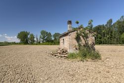 Una vecchia costruzione rurale in un campo di mais a Gualtieri, provincia di Reggio Emilia (Emilia Romagna).

