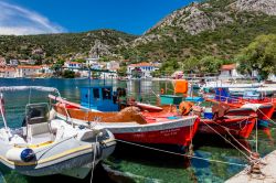 Una veduta del porto greco di Trikeri con le tipiche barche da pesca, Tessaglia - © Marcel Bakker / Shutterstock.com