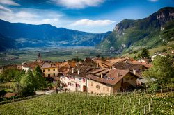 Una veduta del villaggio tipico di Cortaccia, Strada del Vino, Alto Adige