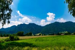 Una veduta della palude di Murnauer nei pressi di Murnau am Staffelsee, Germania. In un'area di circa 4200 ettari, torbiere, prati e vegetazione si uniscono per creare una delle più ...