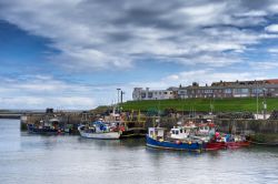 Una veduta di Seahouses sulla costa di Northumberland, Inghilterra. Quesa località è molto popolare fra turisti e appassionati di ornitologia: è infatti la porta di accesso ...