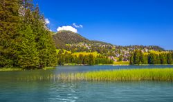 Una veduta primaverile di Lenzerheide con il lago Heidsee e le Alpi, Svizzera.

