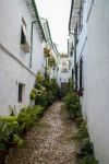 Una via acciottolata nel borgo vecchio di Priego de Cordoba, Spagna. Ad abbellire le candide facciate degli edifici ci sono piante e fiori.




