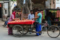 Una via del mercato cittadino a Amritsar, Punjab, India. Questa località si trova a circa 25 km est dal confine con il Pakistan - © Phuong D. Nguyen / Shutterstock.com