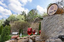 Una vineria a Milestii Mici, Repubblica di Moldavia. Qui più del 70% dei vini sono rossi ma anche i bianchi non mancano così come quelli da dessert - © FrimuFilms / Shutterstock.com ...