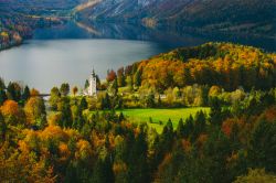 Una vista mozzafiato dall'alto sul famoso lago di Bohinj, Slovenia. A fare da cornice a questo bacino d'acqua ci sono le montagne del parco nazionale del Tricorno e la chiesetta di San ...