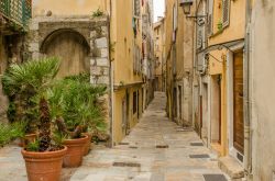 Una viuzza del centro storico di Grasse, Provenza (Francia) - © Evgeny Shmulev / Shutterstock.com