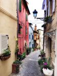 Una viuzza nel borgo antico di Grottammare, Ascoli Piceno (Marche). Qui si affacciano le vecchie case del centro storico cittadino impreziosite da fiori e piante colorate.
