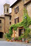 Un'antica casa in pietra a Barberino Val d'Elsa, Toscana, ricoperta da edera.

