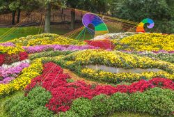 Un'esposizione di fiori a Kiev, Ucraina. Per realizzare "Autumn Melody" vengono utilizzati 15 mila crisantemi  e 100 mila metri di corda multi colore - © Sarycheva Olesia ...