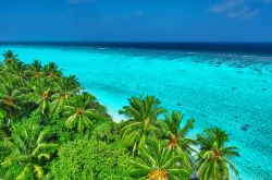 Un'isola dell'Atollo di Shaviyani: le palme, la laguna turchese, e il blu dell'Oceano Indiano oltre la barriera corallina. Ci troviamo nella parte settentrionale dell'arcipelago ...