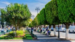 Uno dei parchi pubblici che abbeliscono la città di Morelia, Messico. Qui, all'ombra degli alberi, si ritrovano le famiglie.



