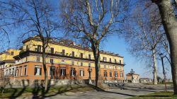 Uno dei parchi urbani di Bologna: la Montagnola fotografata in inverno