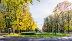 Uno dei viali di Metanopoli, il quartiere del gruppo ENI a San Donato Milanese