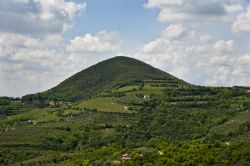 Uno dei coni vulcanici dei Colli Euganei, il ...