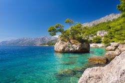 Uno scoglio pittoresco a Punta Rata di Brela, il mare limpido adriatico in Croazia (Dalmazia)