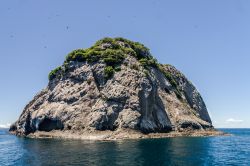 Uno scoglio roccioso nell'arcipelago di Mitsio, vicino a Nosy Be, Madagascar. Siamo in un paradiso naturalistico incontaminato, ideale per un turismo ecologico a contatto con la natura.



 ...