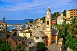 Uno scorcio dall'alto della cittadina di Zoagli, provincia di Genova, Liguria. Questo piccolo borgo ligure è incastonato fra i Comuni costieri di Rapallo e Chiavari nel Golfo del ...
