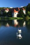 Uno scorcio del celebre castello di Otocec, Slovenia. Sorge adagiato su un isolotto boscoso in mezzo al fiume Krka.



