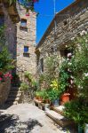 Uno scorcio del centro di Guardia Perticara (Basilicata) con le case in pietra abbellite da fiori e piante. 
