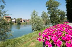 Uno scorcio del fiume Adda a Pizzighettone, Cremona, Lombardia. Siamo nella Val Padana centrale, lungo l'Adda, pochi chilometri a nord dalla confluenza con il Po © BAMO / Shutterstock.com ...