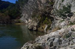 Uno scorcio del fiume Arxisi nei pressi di Ruinas in Sardegna