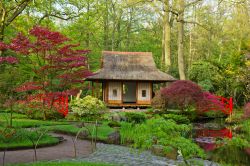 Uno scorcio del giardino giapponese alla tenuta Clingendael, L'Aia (Olanda).
