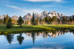 Uno scorcio del Grand Teton National Park in Wyoming, USA. Il parco è noto per i suoi paesaggi montuosi dominati dal Grand Teton che si eleva sino a 4199 metri di altezza. Con più ...