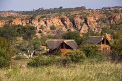 Uno scorcio del Great Limpopo Transfrontier Park, Africa. Quest'area nasce dalla collaborazione fra tre stati: Sudafrica, Mozambico e Zimbabwe.
