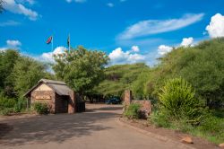 Uno scorcio del Kruger National Park a Mpumalanga, provincia del Sudafrica. Il nome Mpumalanga in lingua Zulu significa "luogo dove sorge il sole".
