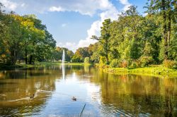 Uno scorcio del Kurpark a Wiesbaden, Germania. Questo parco di 75.000 metri quadri inizia immediatamente dietro al Kurhaus; fu progettato nel 1852 nello stile dei giardini all’inglese ...