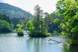 Uno scorcio del lago Akan, Akan National Park, Hokkaido, Giappone. A creare questo bacino d'acqua oltre 6 mila anni fa è stata l'attività vulcanica, in seguito alla formazione ...