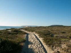 Uno scorcio del Parco Naturale di Esposende, Portogallo.



