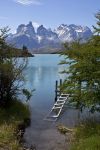 Uno scorcio del Parco Nazionale del Torres del Paine in Patagonia, Cile. E' rinomato per le alte montagne, gli iceberg di colore blu che emergono dai ghiacciai e le pampas dorate, habitat ...