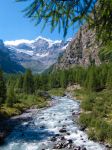 Uno scorcio del torrente di Valnontey nell'omonima vallata a Cogne, Valle d'Aosta. Al culmine della vallata si trovano le più importanti vette del massiccio del Gran Paradiso ...