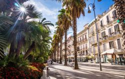 Uno scorcio del viale alberato di Bari, Puglia. Qui si affacciano eleganti edifici e palazzi antichi a fianco di attività commerciali e ristoranti - © kvika / Shutterstock.com