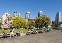 Uno scorcio del Victor Steinbrueck Park in una giornata di sole a Seattle, Washington - © Frank Fell / Shutterstock.com