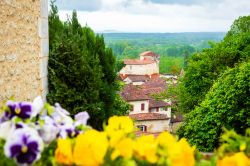 Uno scorcio del villaggio di Aubeterre-sur-Dronne (Francia). In primo piano, viole del pensiero colorate.
