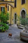 Uno scorcio della città di Orte nel Lazio, Provincia di Viterbo - © ValerioMei / Shutterstock.com
