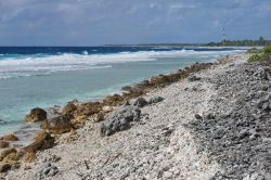 Uno scorcio della costa dell'isola di Rangiroa, arcipelago delle Tuamotu (Polinesia Francese), Oceano Pacifico.

