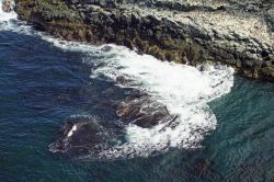 Uno scorcio della costa dell'isola di Rathlin, Irlanda del Nord. Con il bel tempo si può vedere la sagoma della Scozia.



