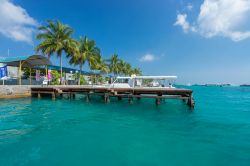 Uno scorcio della marina sull'isola di Maafushi, Maldive. Questa piccola isoletta lunga circa 1,5 km e larga 350 metri si trova a 45 minuti di barca dall'aeroporto di Malé.
