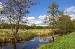 Uno scorcio della regione di Nuthe-Nieplitz, siamo Brandeburgo in Germania