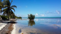 Uno scorcio della spiaggia di Xcalak nello Yucatan