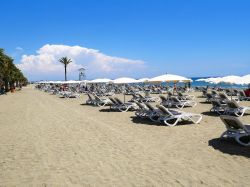 Uno scorcio della spiaggia Mackenzie nei pressi di Larnaca, isola di Cipro. Quest'ampia fascia di sabbia soffice è dotata di sdraio e ombrelloni per rilassarsi sotto il sole.



 ...