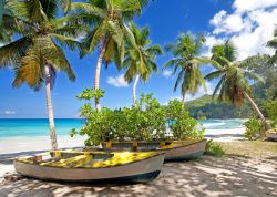 Uno scorcio della spiaggia Takamaka con palme e barche, isola di Mahé, Seychelles.



