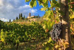 Uno scorcio della Strada del vino Chianti in Toscana - © Kokophotos / Shutterstock.com