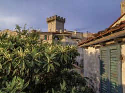 Uno scorcio della torre medievale di Capalbio, Toscana - © Angelo Giampiccolo / Shutterstock.com