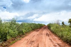 Uno scorcio della Transpantaneira Road, Cuiaba, Brasile. Conosciuta anche come MT-060, questa strada attraversa il Pantanal nello stato del Mato Grosso.
