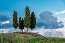 uno scorcio della Val d'Orcia vicino a Bagni ...